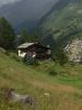 035-Zermatt-Edelweiss