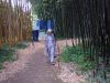004-anduze-bambous