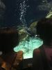 009-aquarium