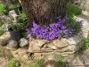 003-jardin25