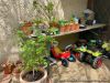 006-jardin25