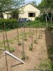 007-jardin25