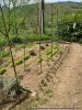 008-jardin25
