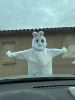 001-lapin