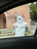003-lapin