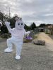 007-lapin