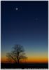 03-venus1