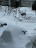 003-neige-montreal
