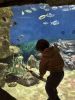 015-seaquarium