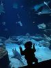 016-seaquarium
