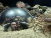 025-seaquarium