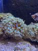 030-seaquarium