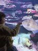 032-seaquarium