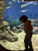 036-seaquarium