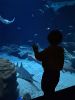 043-seaquarium