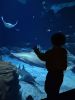 044-seaquarium