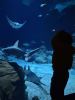045-seaquarium