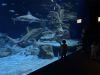 047-seaquarium