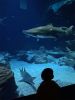048-seaquarium